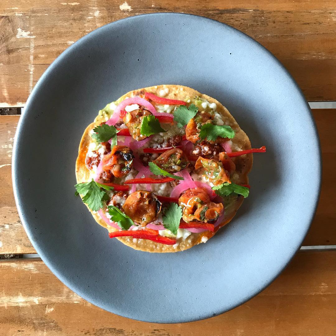 Hoguera Tostada